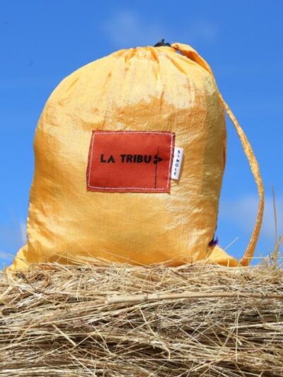 Hamac-toile-de-parachute-Or-et-violet www.LaTribu.shop