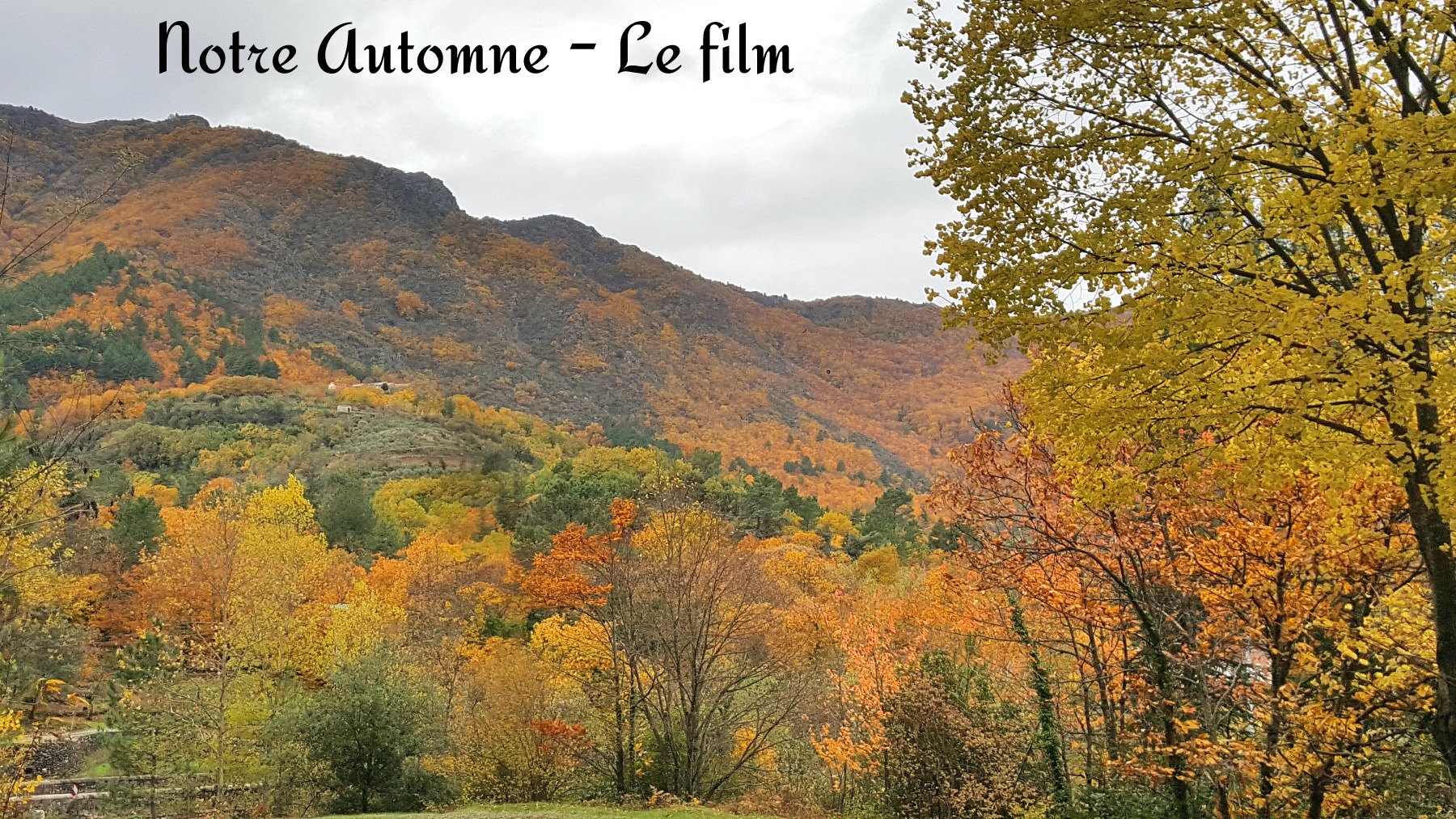Notre automne – Le film